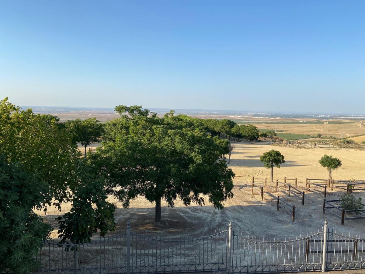 Sevilla Saltera Casa Rural Cerca Centro De Sevilla Familiar - Trabajo - Wifi Salteras Exteriör bild