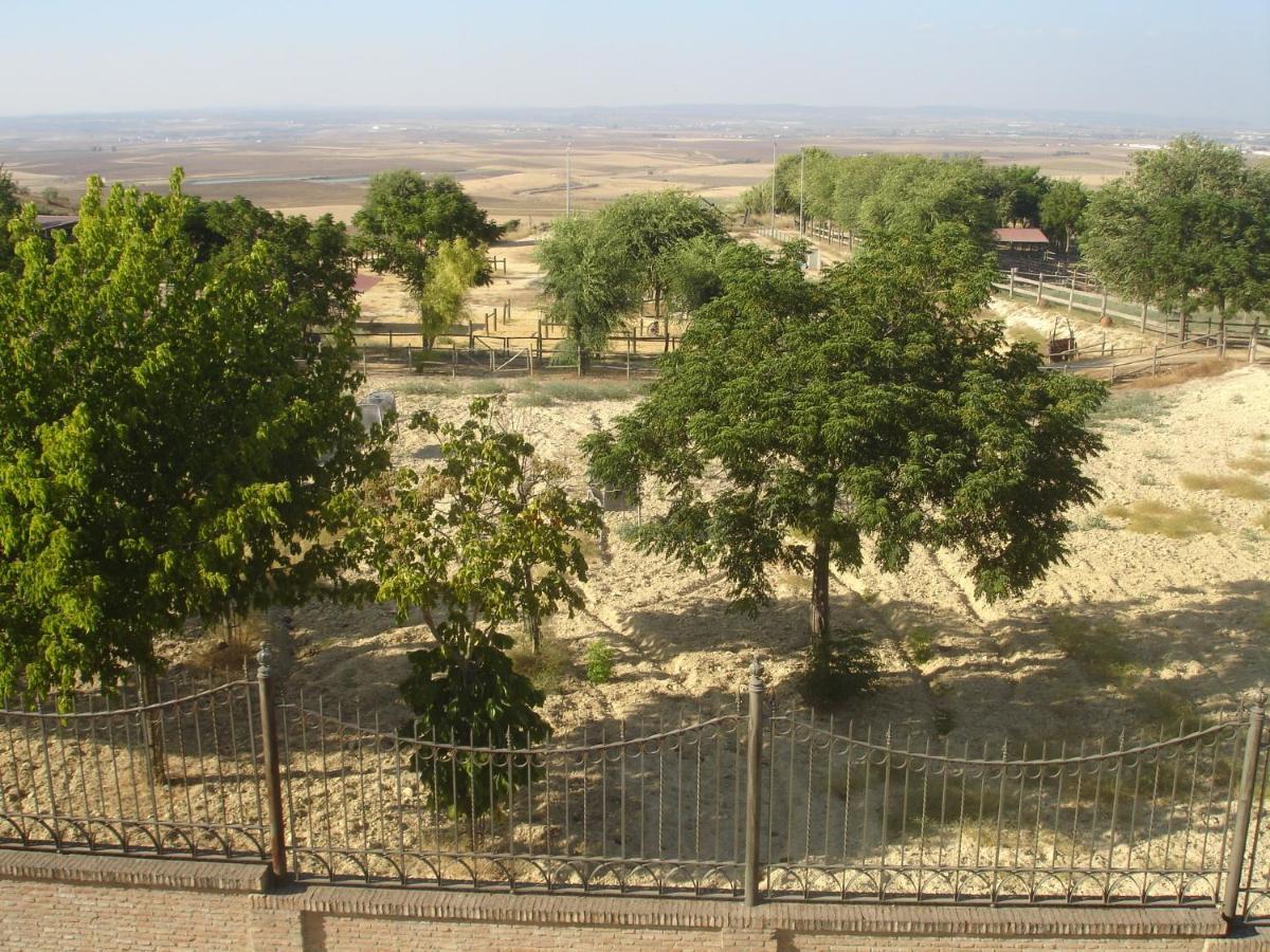 Sevilla Saltera Casa Rural Cerca Centro De Sevilla Familiar - Trabajo - Wifi Salteras Exteriör bild